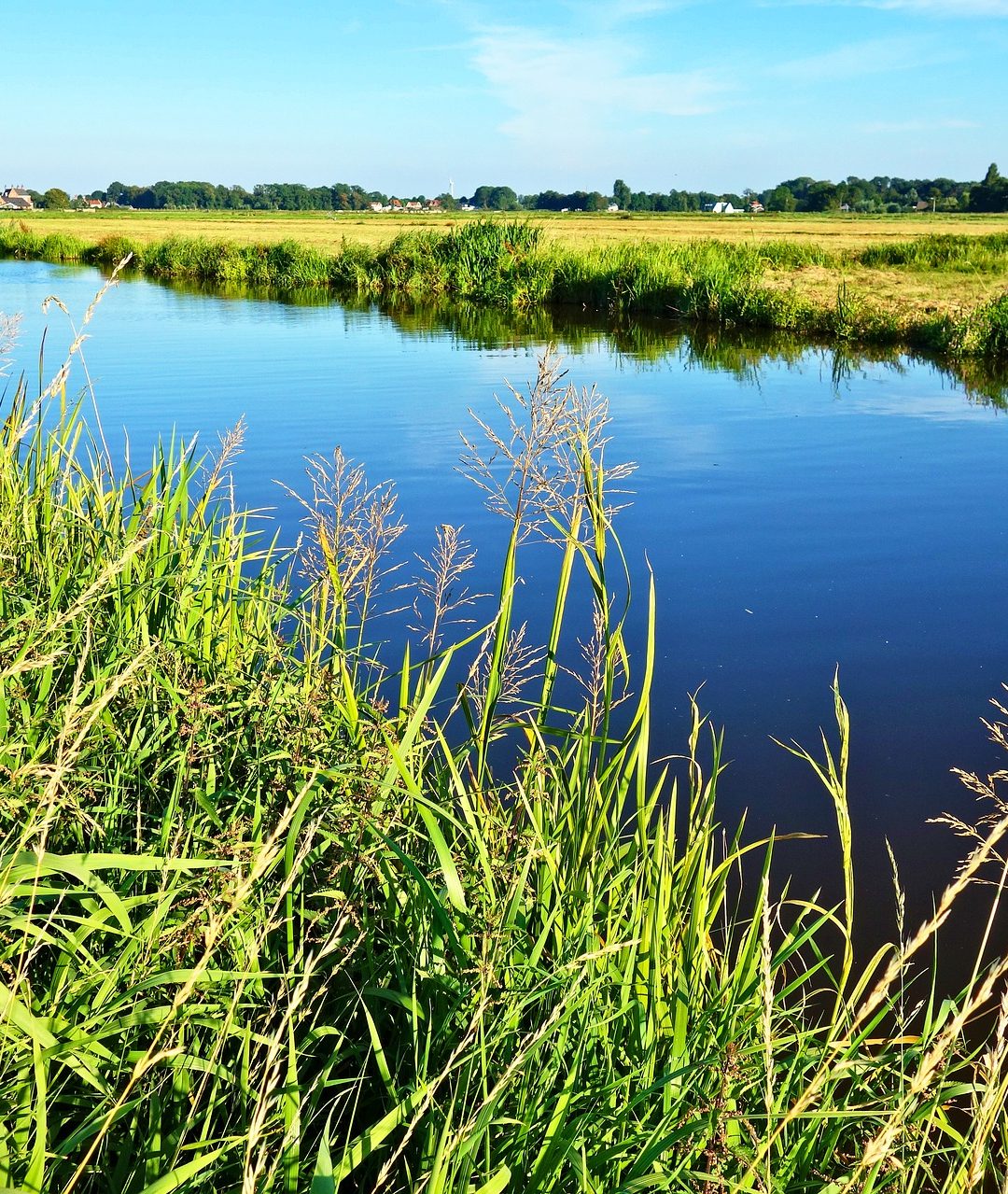 Canadian Agricultural Land – A Sound Investment?