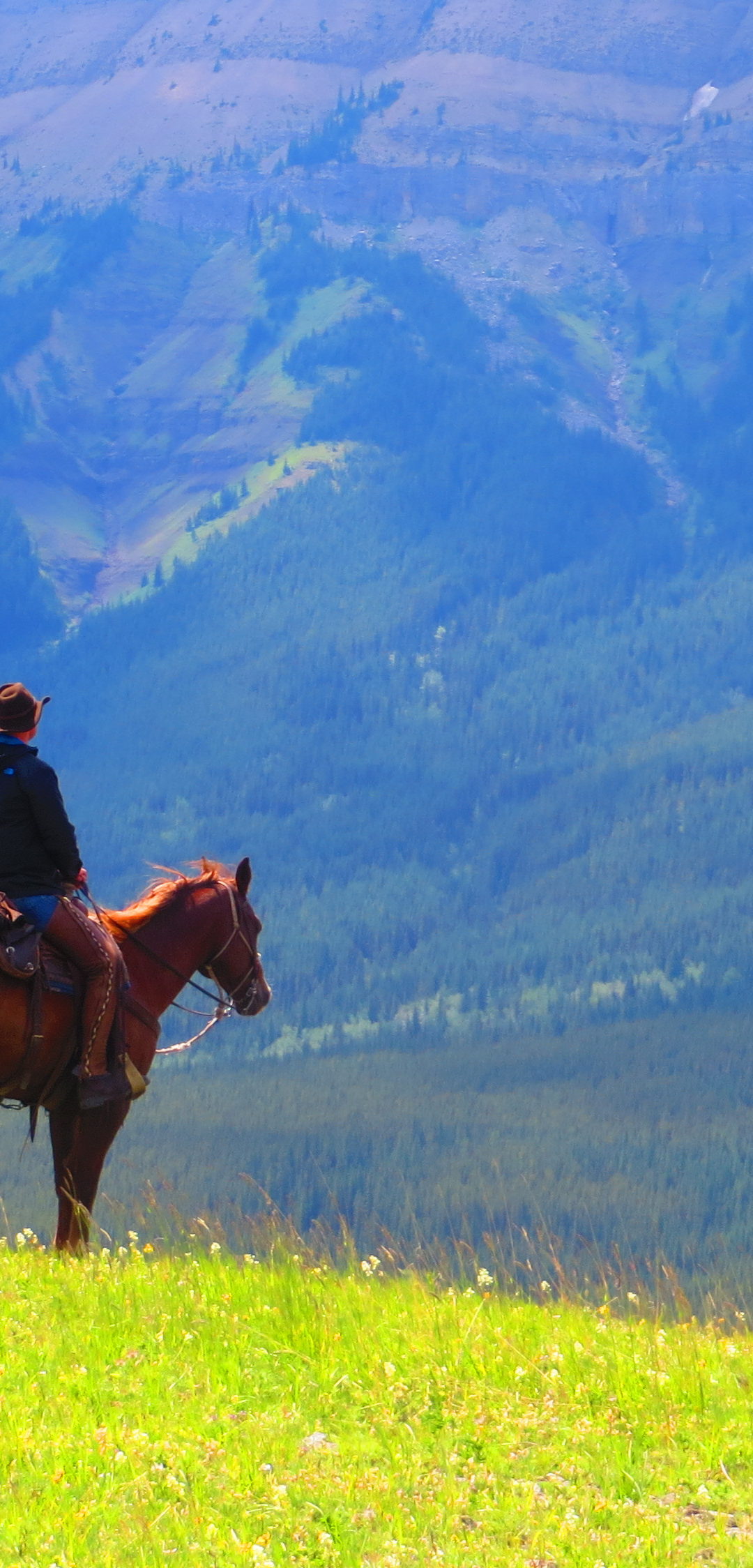 11 Ideas For Your Next Canadian Horse Vacation