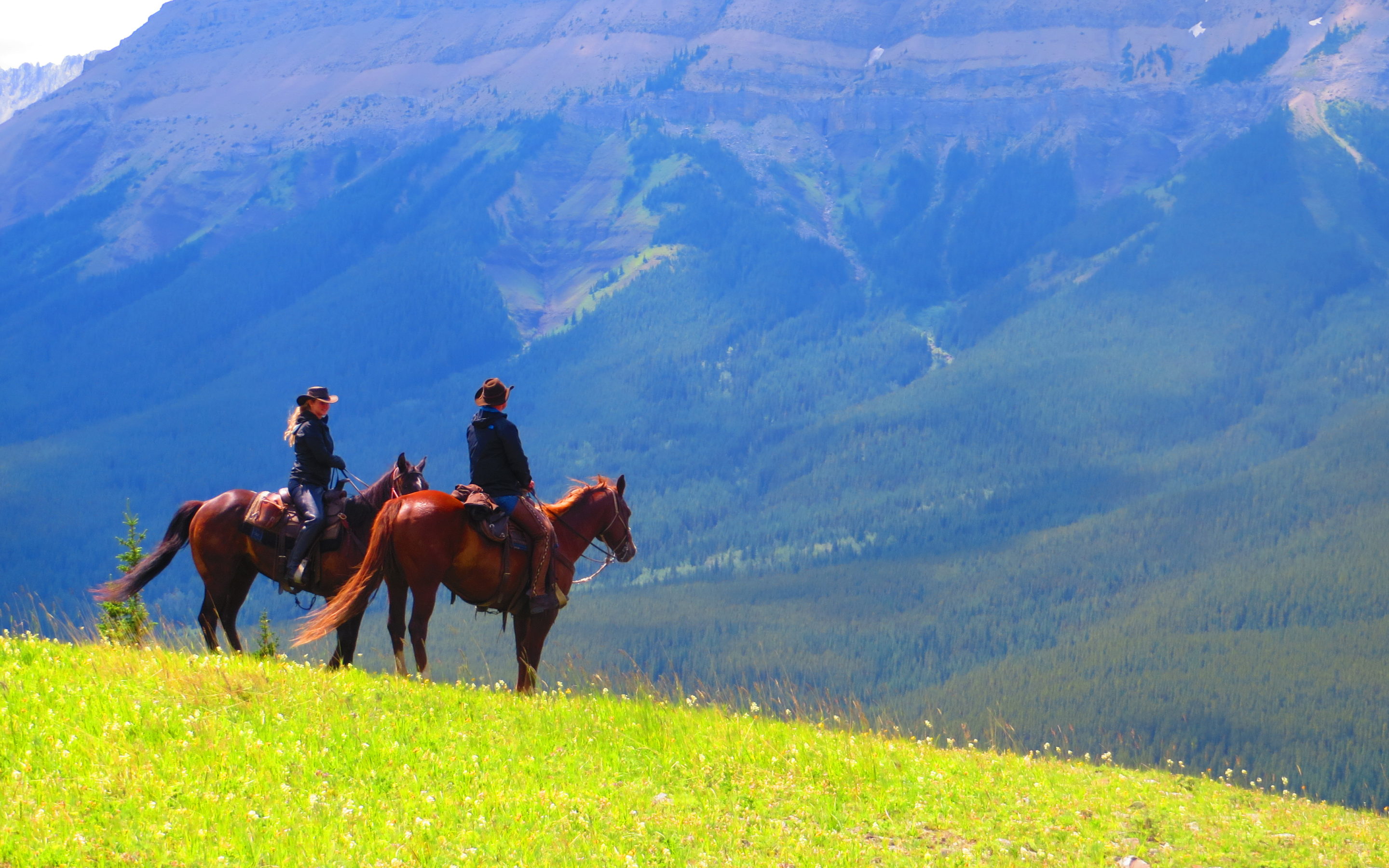 11 Ideas For Your Next Canadian Horse Vacation