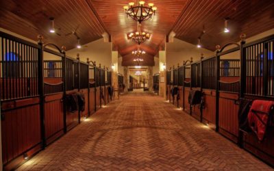 6 Ways to Earn Extra Income on Your Equestrian Property