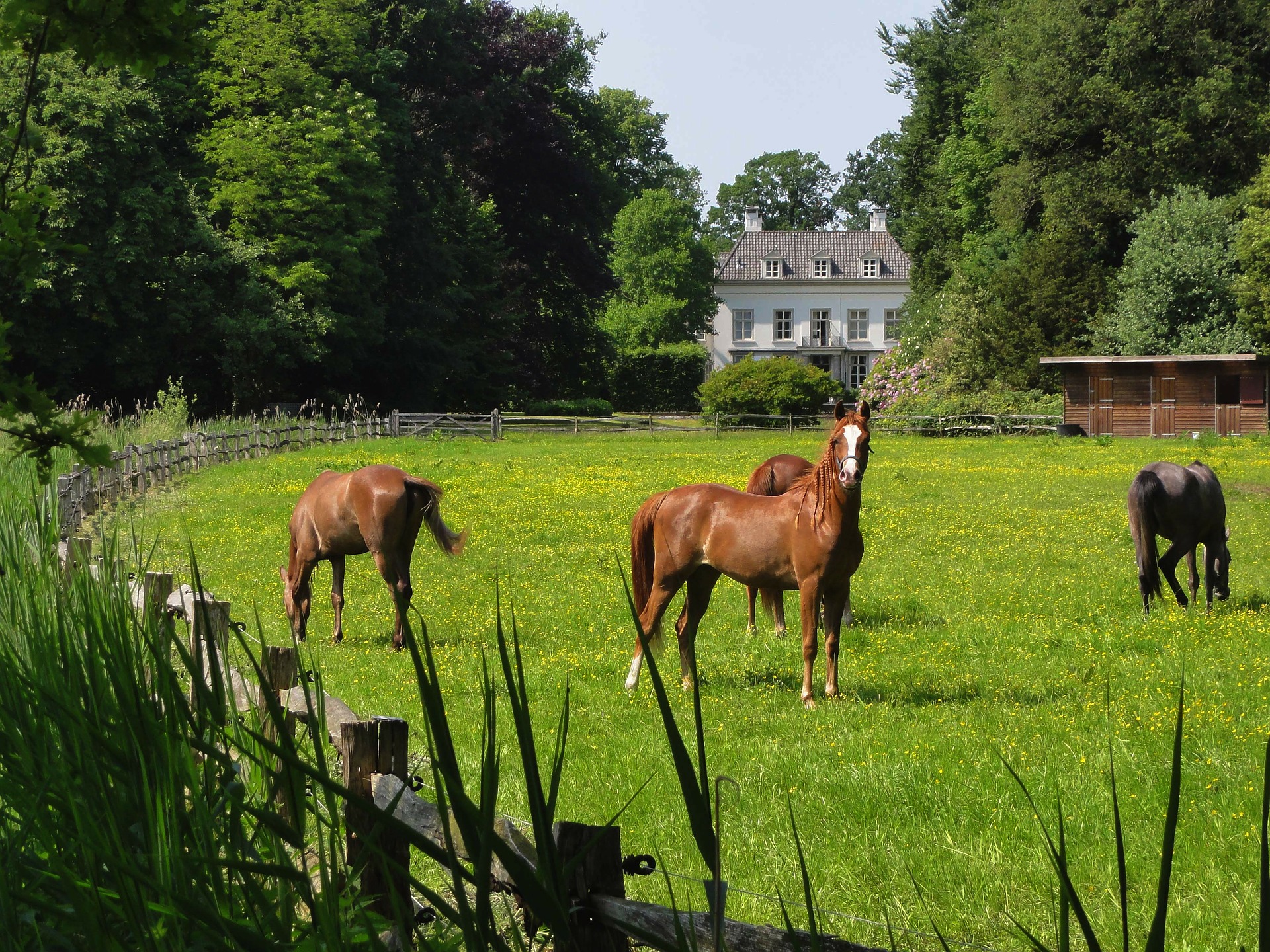 Getting Your Horse Farm Ready For Sale