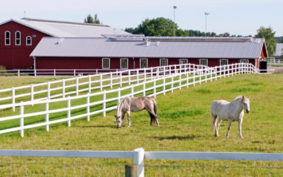6 Ways To Make The Most Of Your Equestrian Property Investment