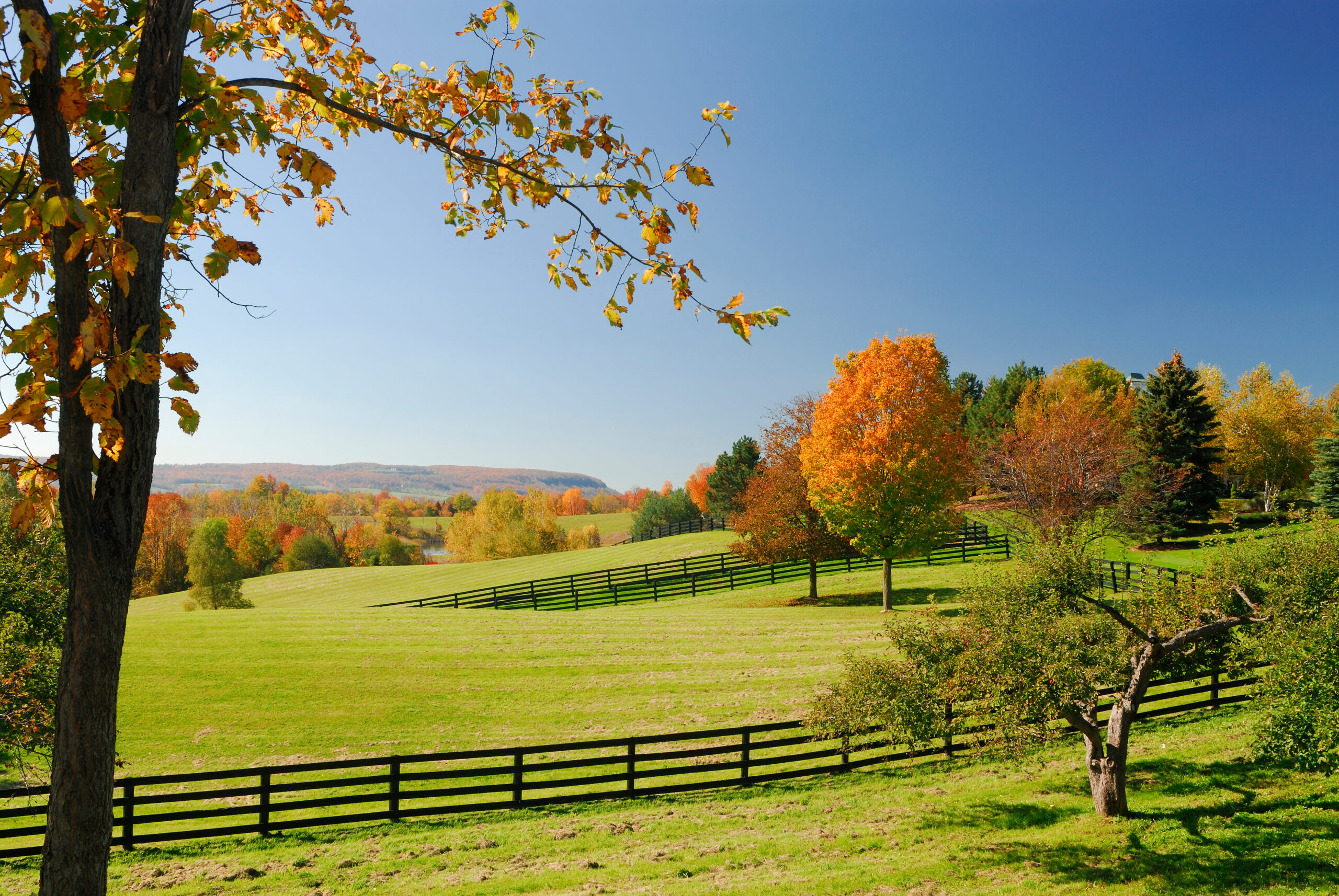 Halton Region Countryside