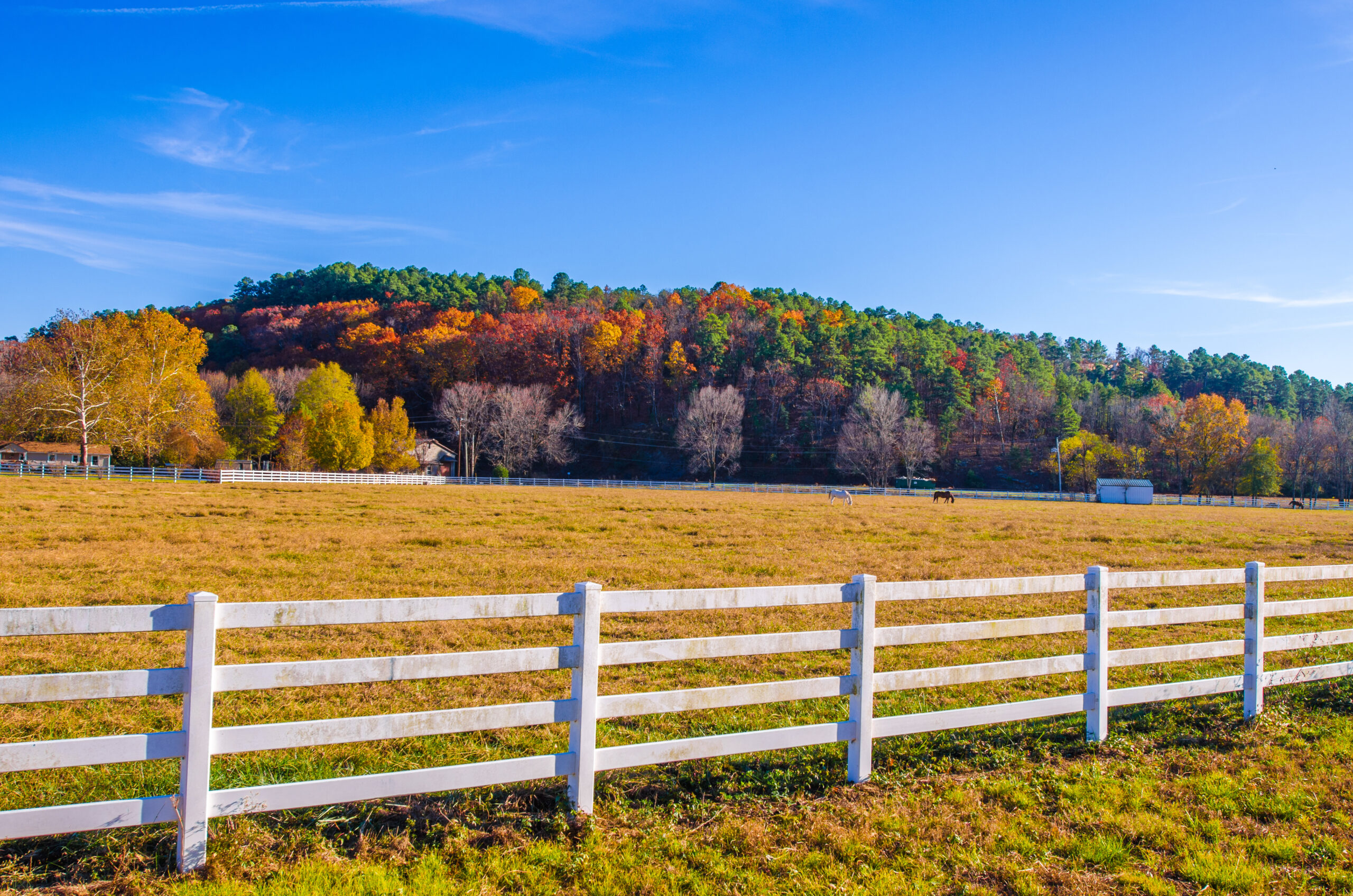 Dufferin County Horse Farm