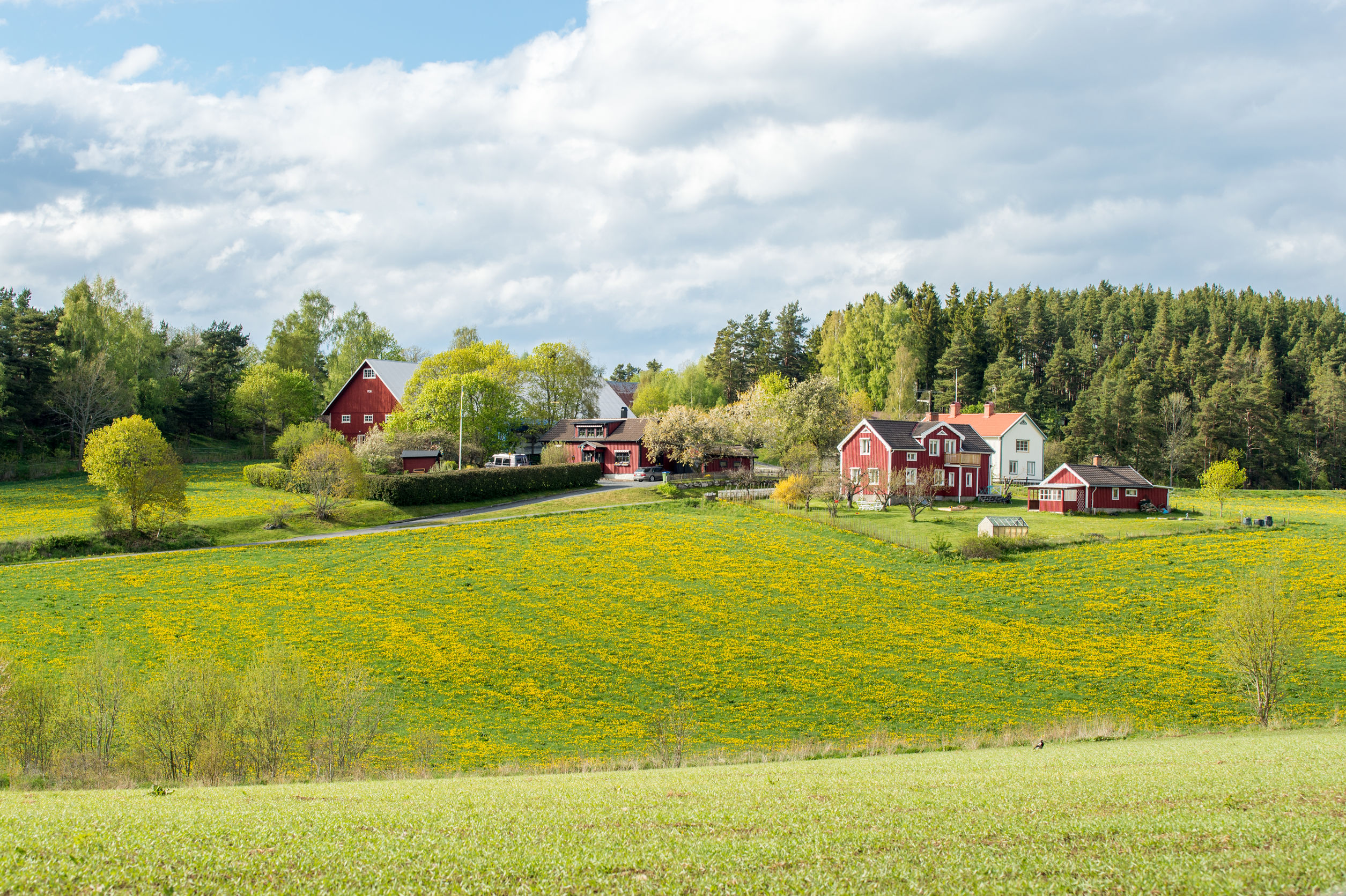 Haldimand Farm