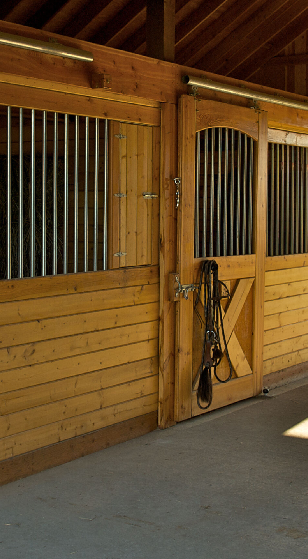 What Does It Cost to Build an Equestrian Facility?