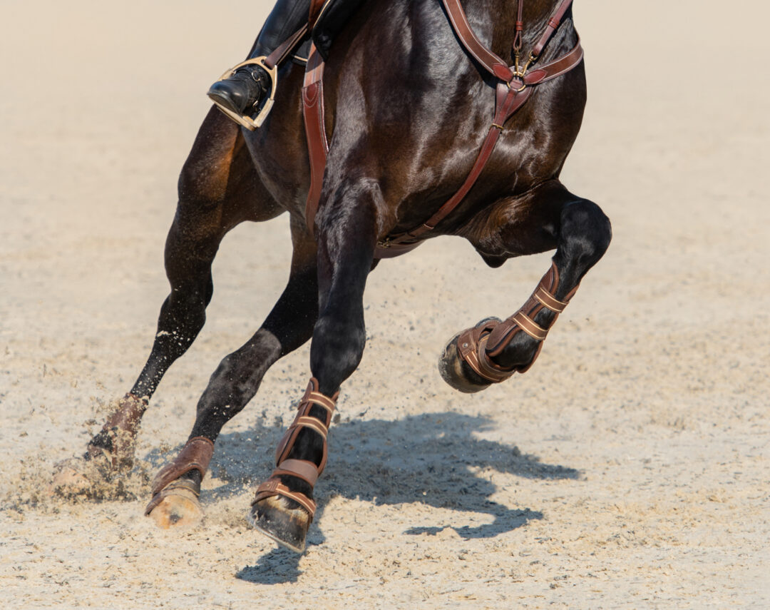 Horse Footing Cost