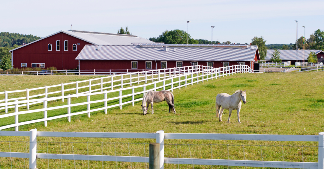 Horse Farm Ontario