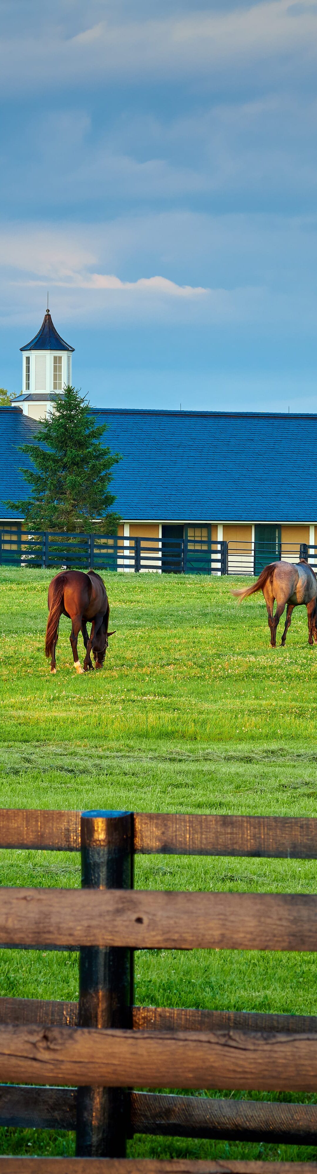 5 Factors Affecting Horse Farm Prices in Ontario