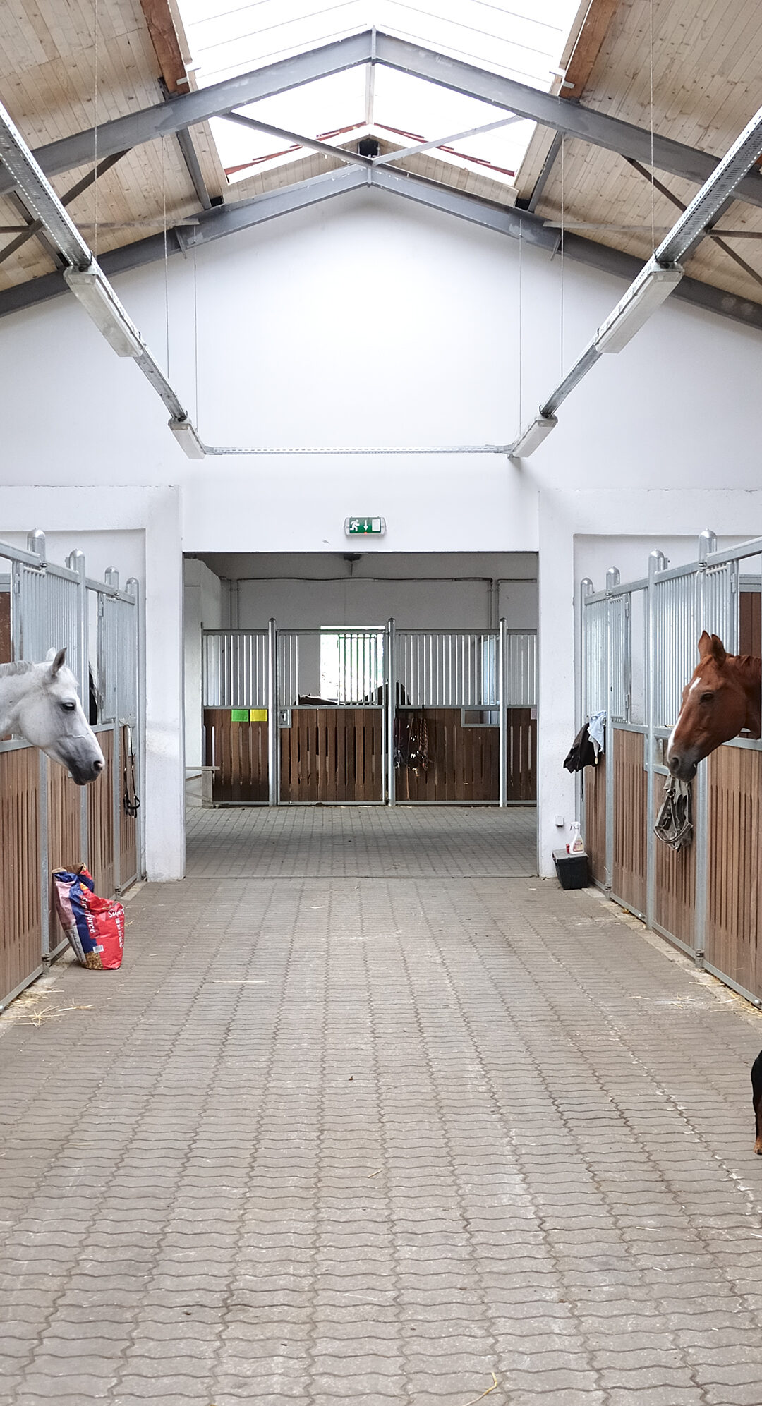 6 Common Questions About Leasing An Equestrian Facility