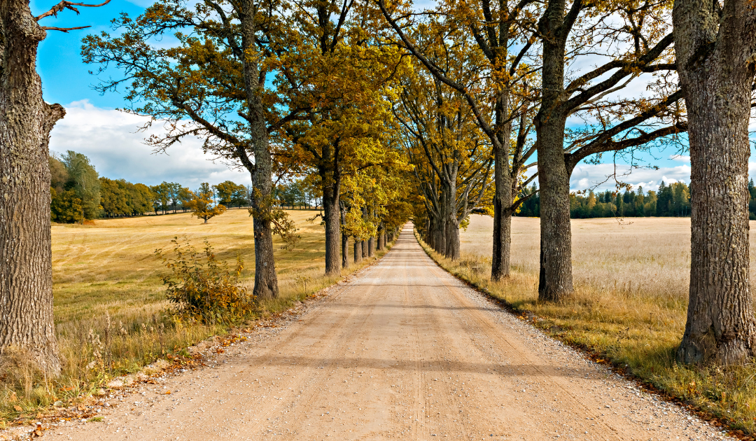 Current Rural Home Market Conditions in the Greater Golden Horseshoe