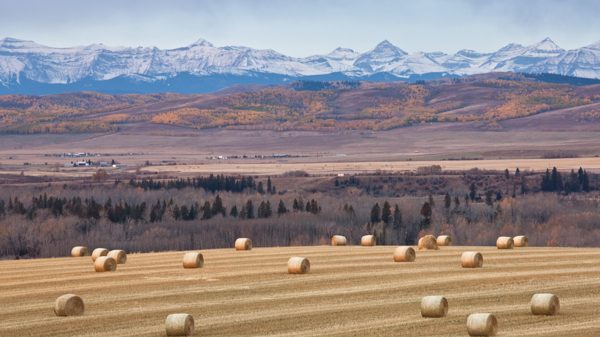 Foothills County, Alberta