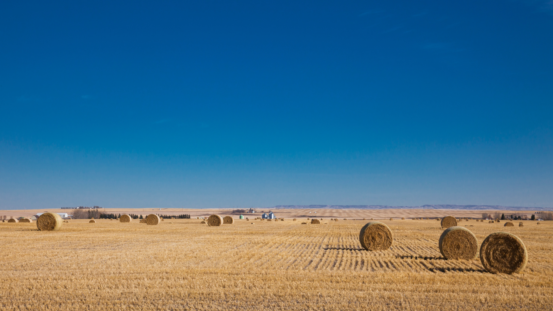 Willow Creek Alberta