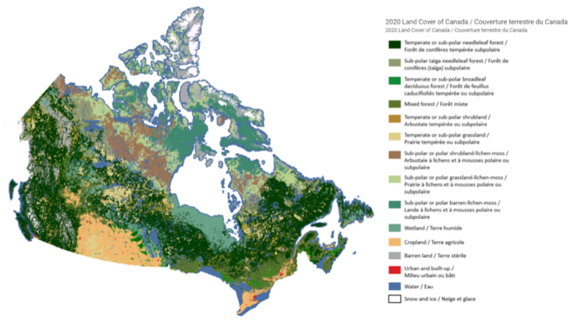 2020 Land Cover of Canada