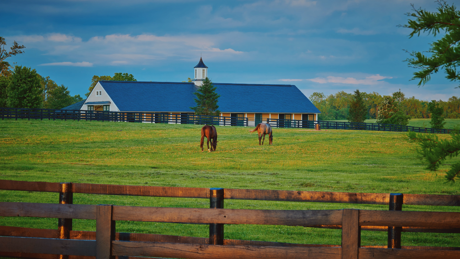 Factors Affecting Horse Farm Prices in Ontario